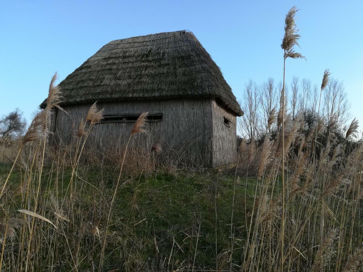 Ferienwohnung Il Piccolo Albero Scardovari Exterior foto